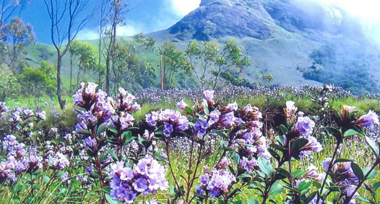 Seven Springs Resort Munnar Exterior foto